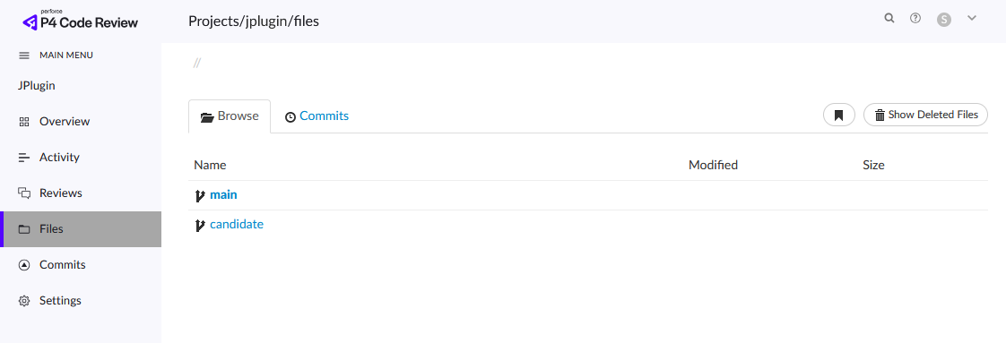 Image of the Initial Files Listing for a Project